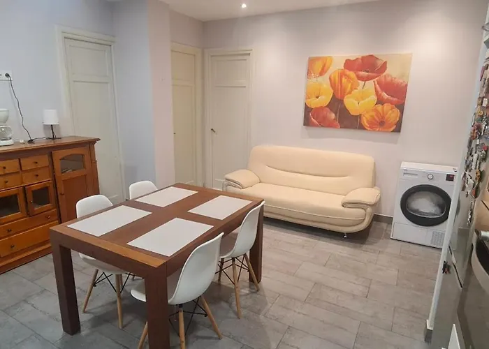 Amplia Con Bano Privado A Pasos De La Playa, En Piso Compartido Séjour chez l'habitant Saint-Sébastien